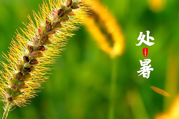 ��ҳ- �Ϲ�NG28�������ֹٷ���վ