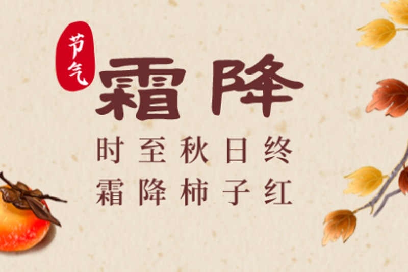 ��ҳ- �Ϲ�NG28�������ֹٷ���վ